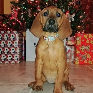 Meet your Posher, Sam